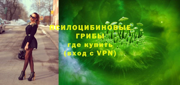герыч Алексин
