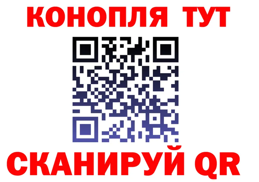 МЕФ 4 MMC tor площадка гидра Жиздра