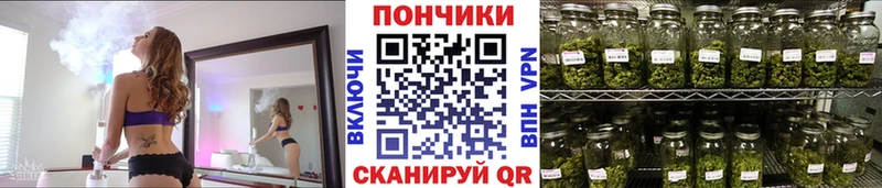 Бошки марихуана сатива  даркнет сайт  Жиздра 
